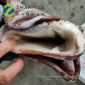 Трубка гигантского кальмара Seafrozen с потрошеным крылатым кальмаром